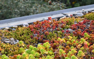 the cost of Woodley Green green roof installation
